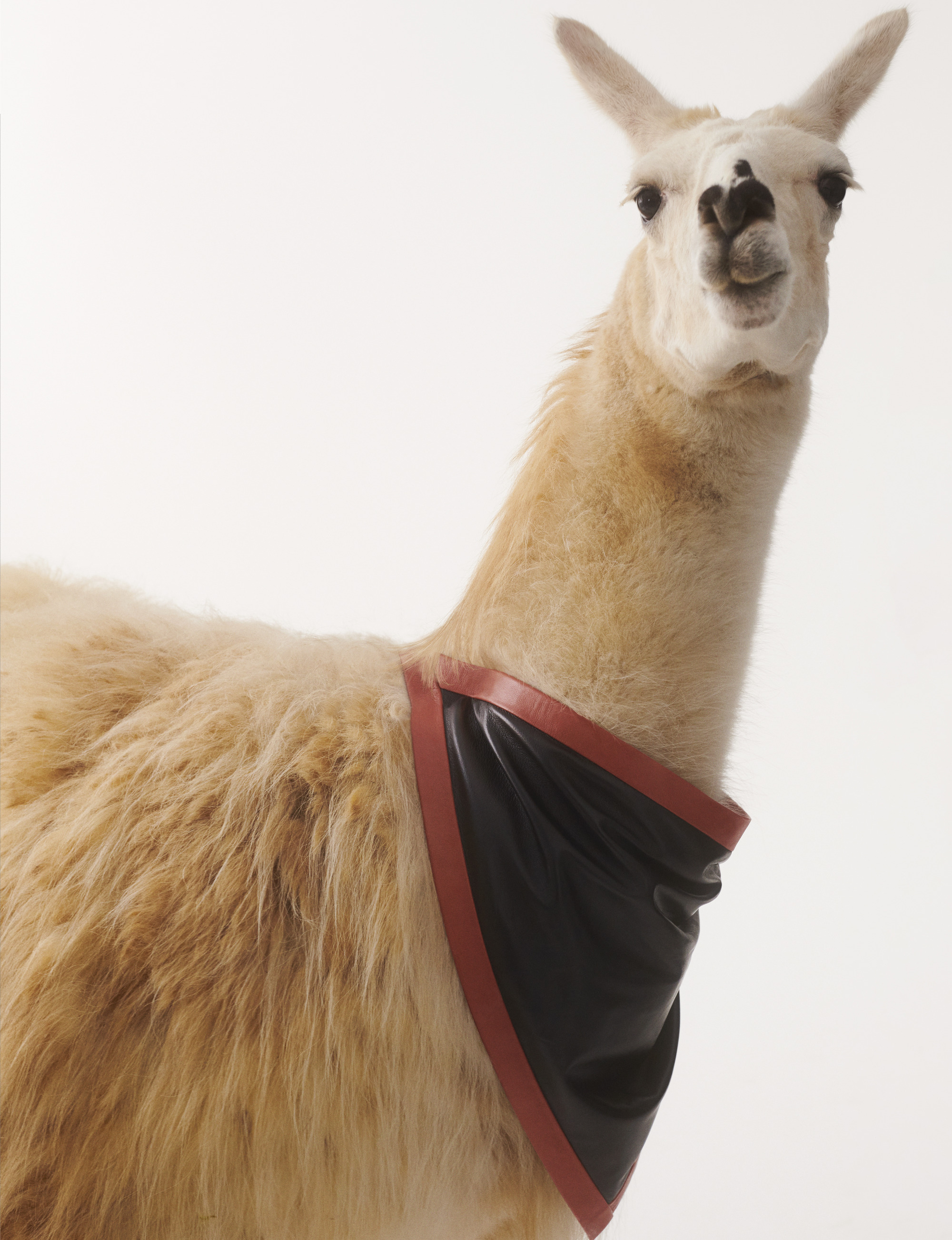 Holly Martin | About page | Neous Scarf Photography